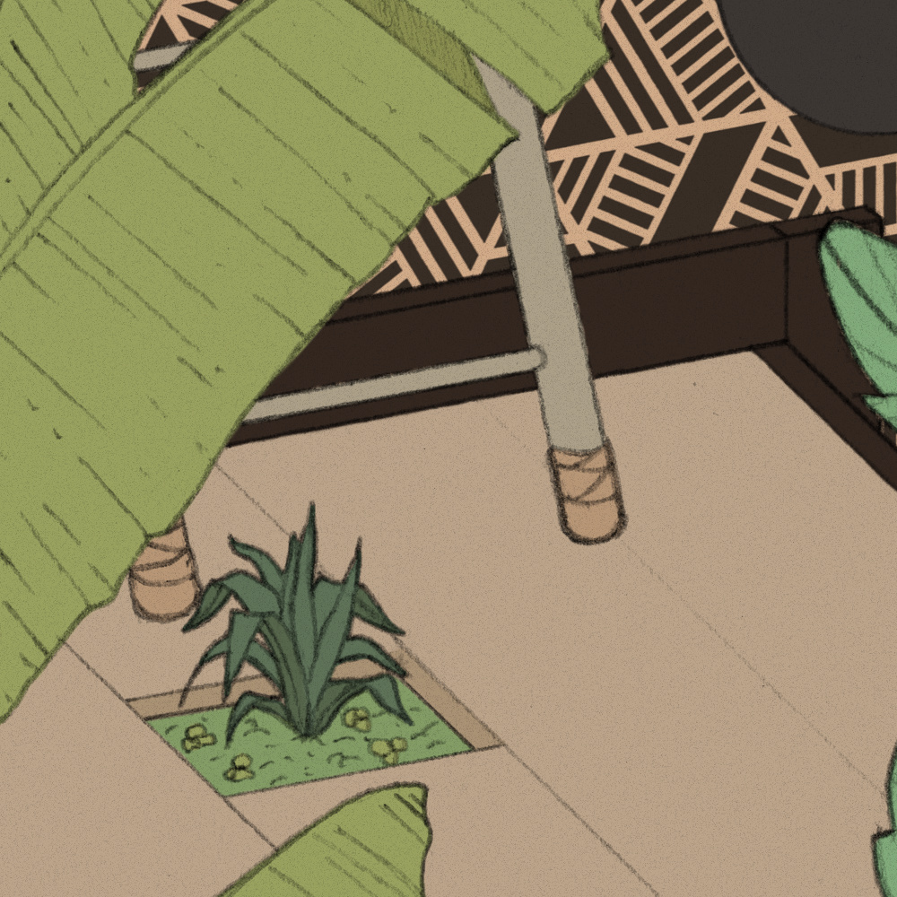nicolas-trillaud-illustration-houseplants-couleur-close-up-4