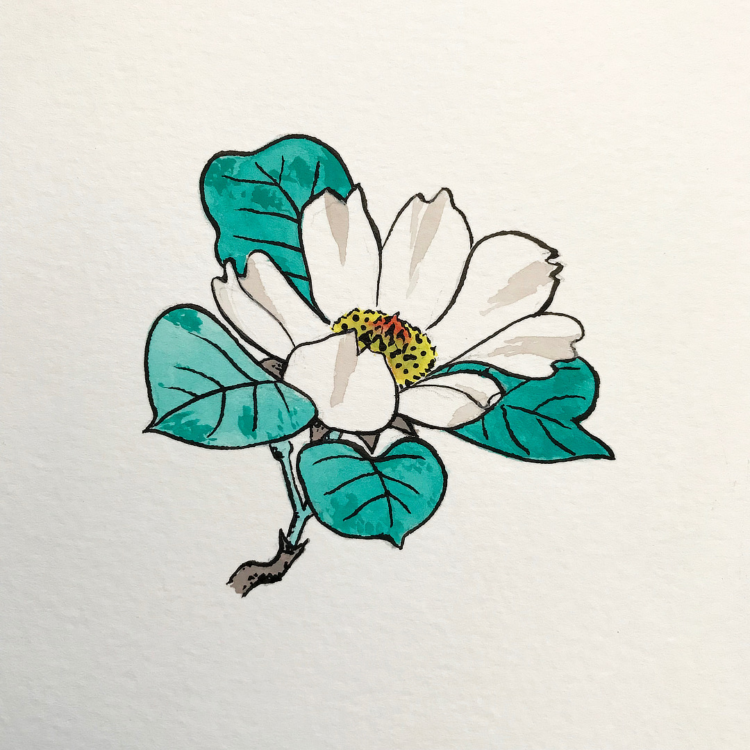 nico-tatuto-flash-tattoo-tatoueur-bordeaux-japonais-magnolia