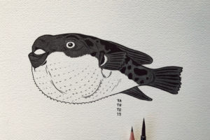 nico-tatuto-fugu-fish-poisson-globe-tattoo-flash