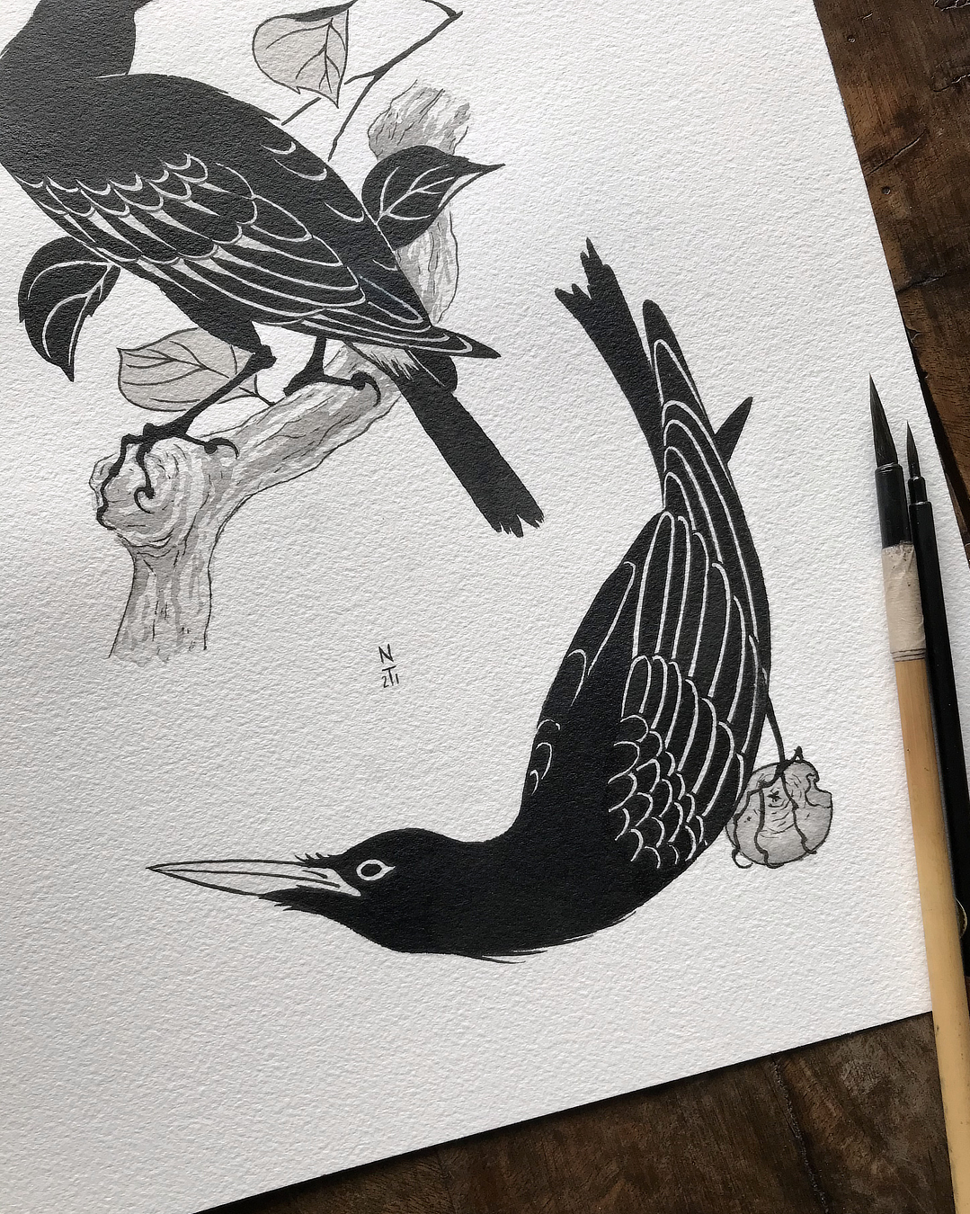 tatuto-corneille-tattoo-flash-tatouage-oiseau-bird-illustration-2