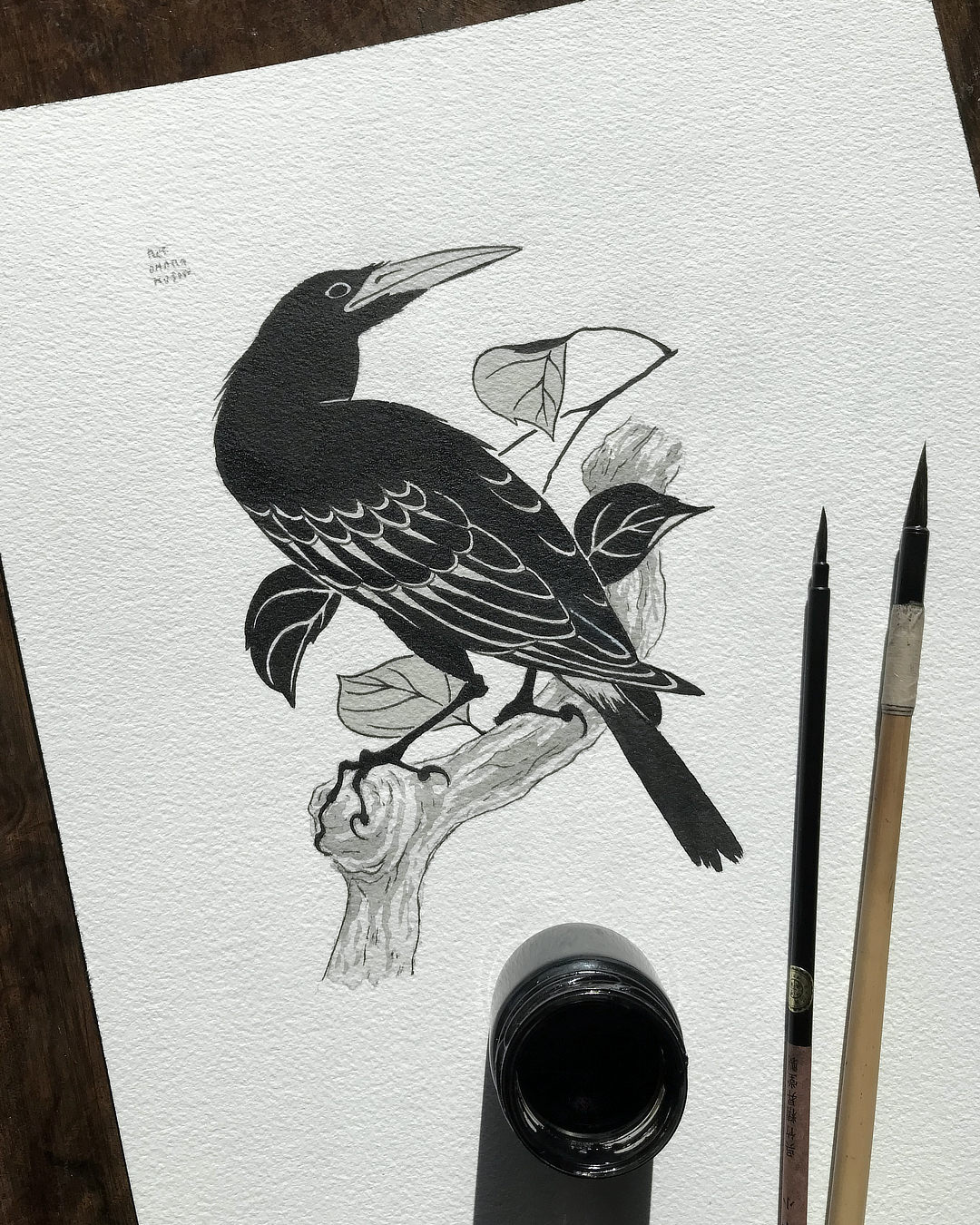 tatuto-corneille-tattoo-flash-tatouage-oiseau-bird-illustration