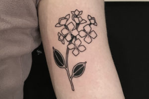 nico-tatuto-le-placard-bordeaux-tatoueur-tattoo-shop-botanical-tatouage-hortensia-hydrangea-blackwork