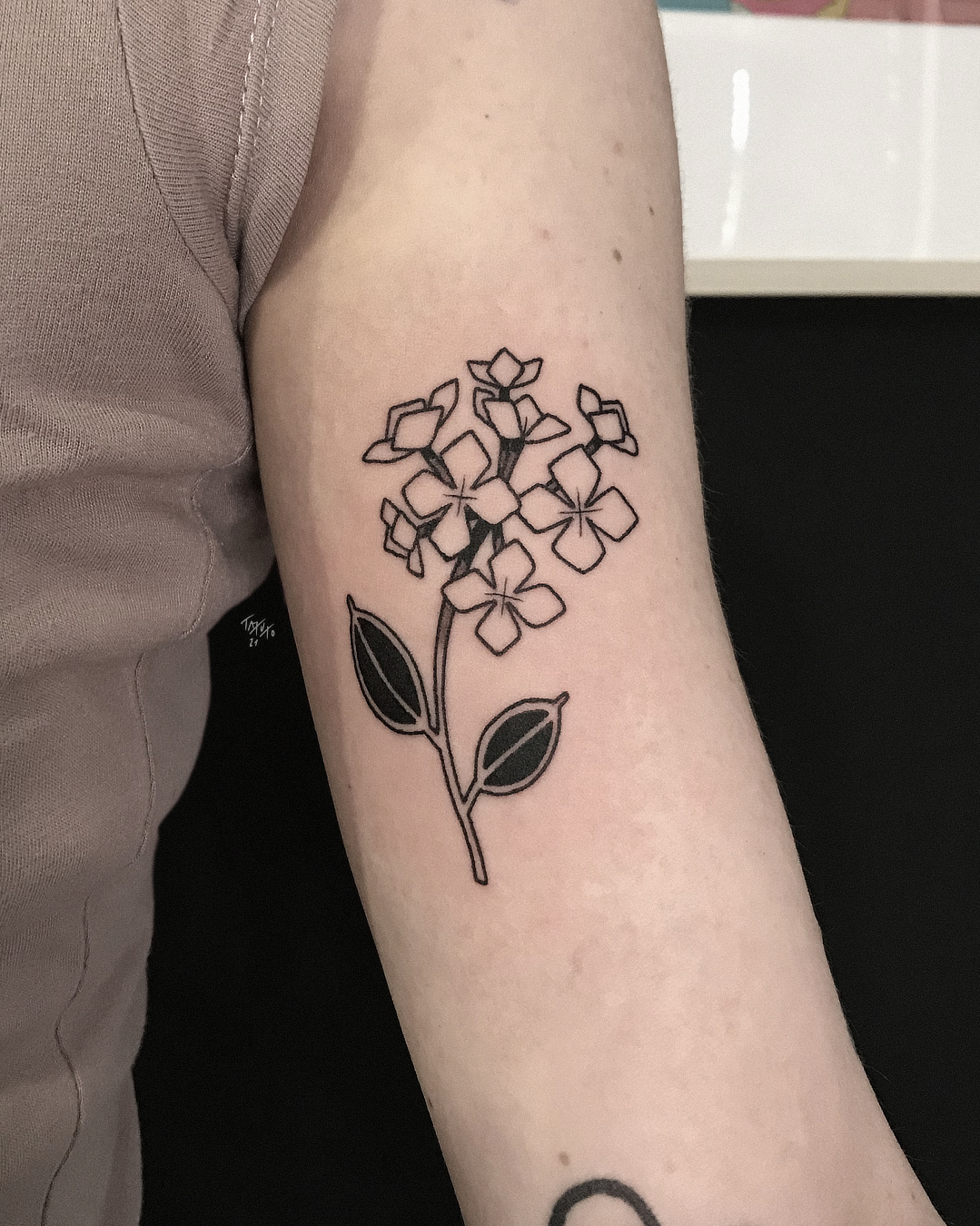 nico-tatuto-le-placard-bordeaux-tatoueur-tattoo-shop-botanical-tatouage-hortensia-hydrangea-blackwork