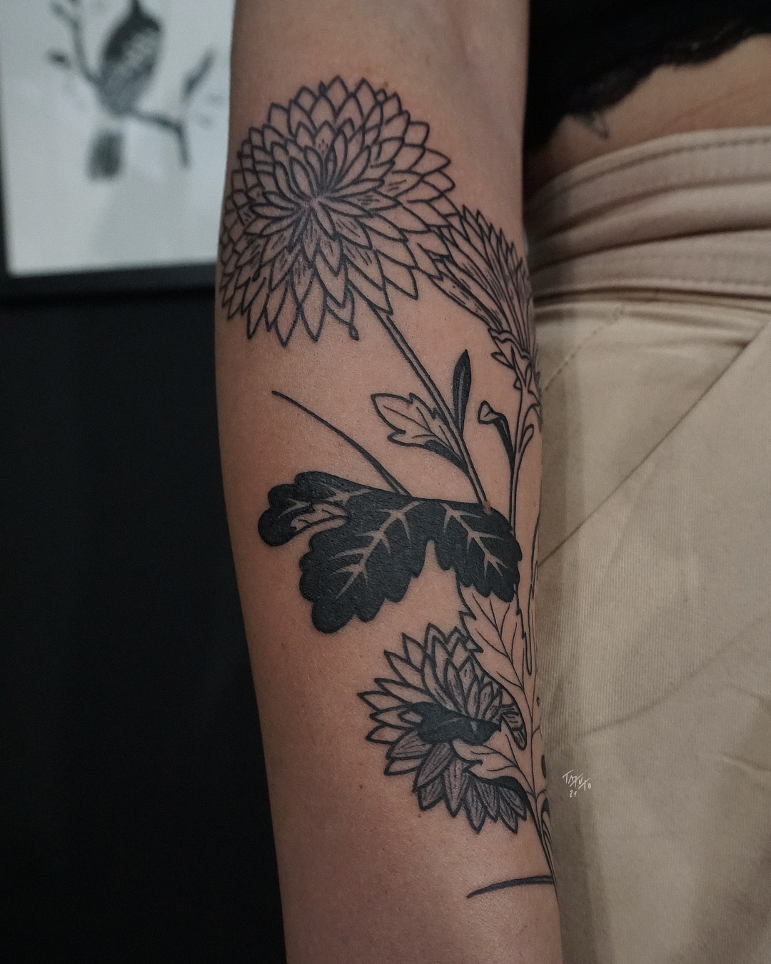 nico-tatuto-botanical-tattoo-floral-tatoueur-bordeaux-bastide-flash-tatouage-blackwork-chrysantheme-1