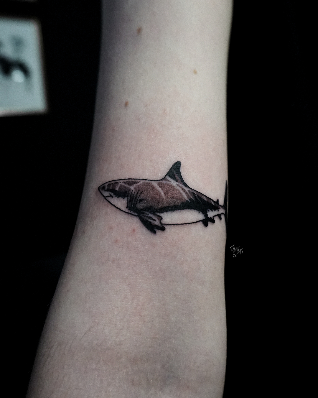nico-tatuto-requin-shark-tatoueur-bordeaux-flash-tattoo-salon-shop