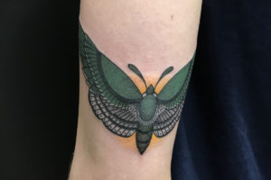 nico-tatuto-papillon-moth-butterfly-tatoueur-landes-flash-2