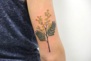 nico-tatuto-mimosa-tatouage