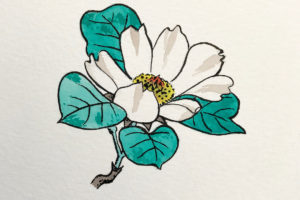 nico-tatuto-flash-tattoo-tatoueur-bordeaux-japonais-magnolia