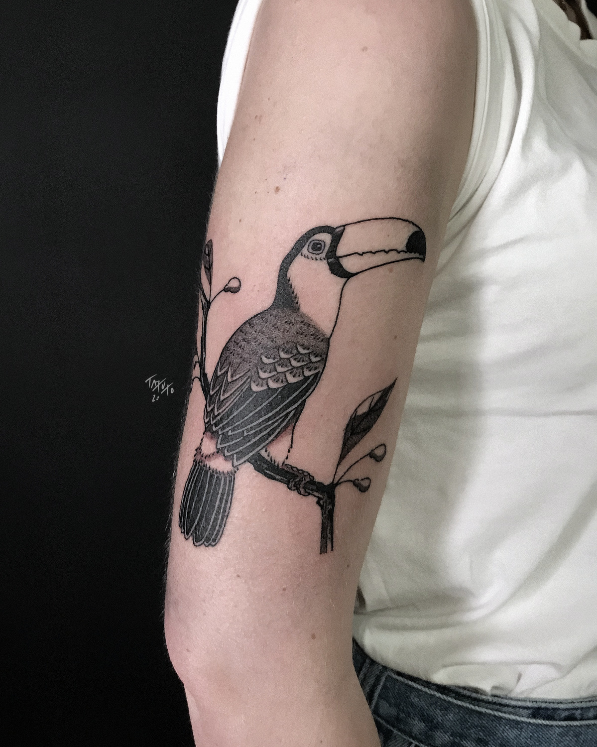 tatuto-tatoueur-bordeaux-bird-tattoo-blackwork