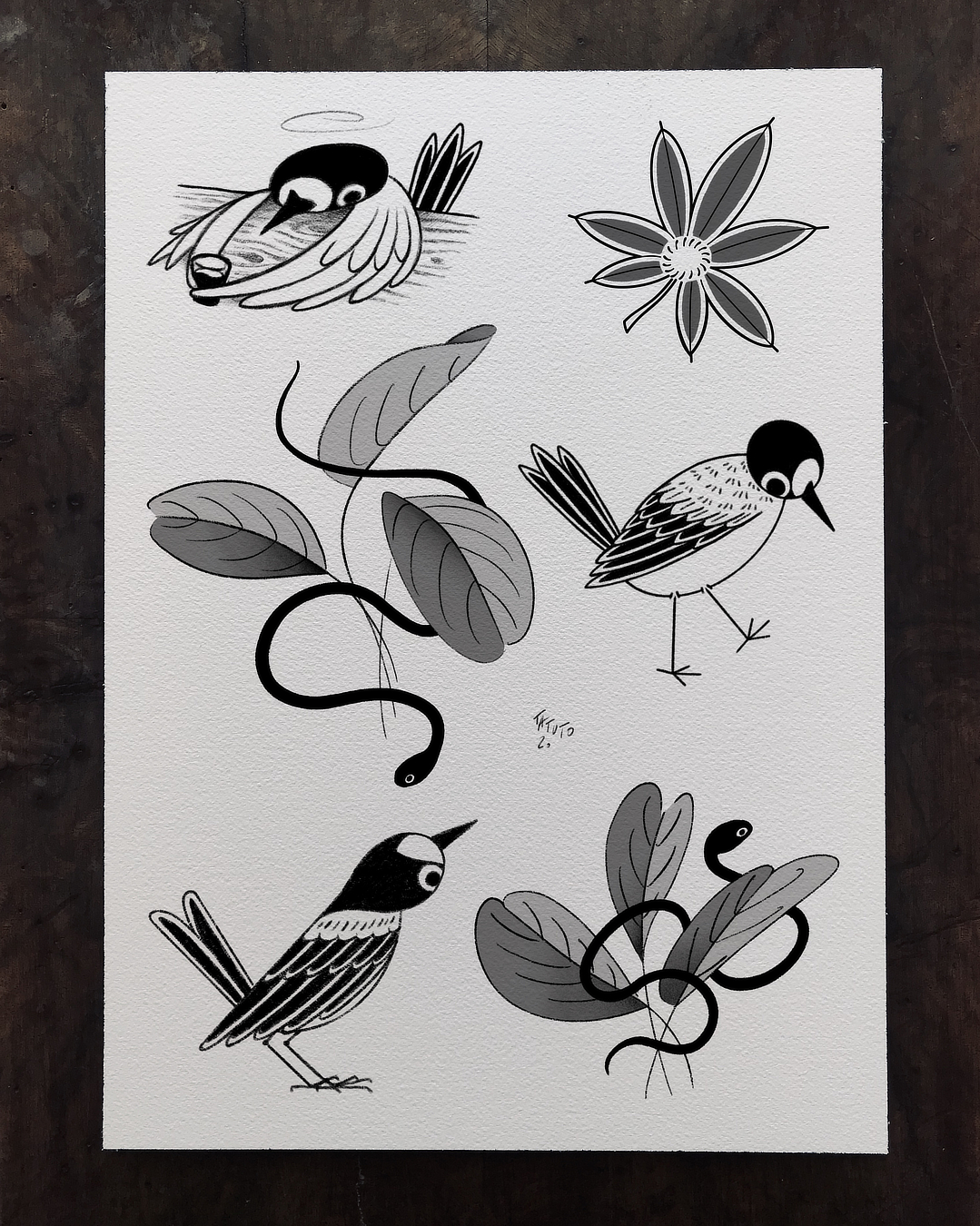 nico-tatuto-tatoueur-bordeaux-japonais-snake-serpent-bird-oiseau-plante-fleur-flash-sheet-japanese-1