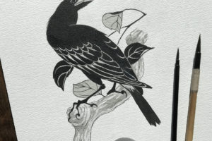 tatuto-corneille-tattoo-flash-tatouage-oiseau-bird-illustration