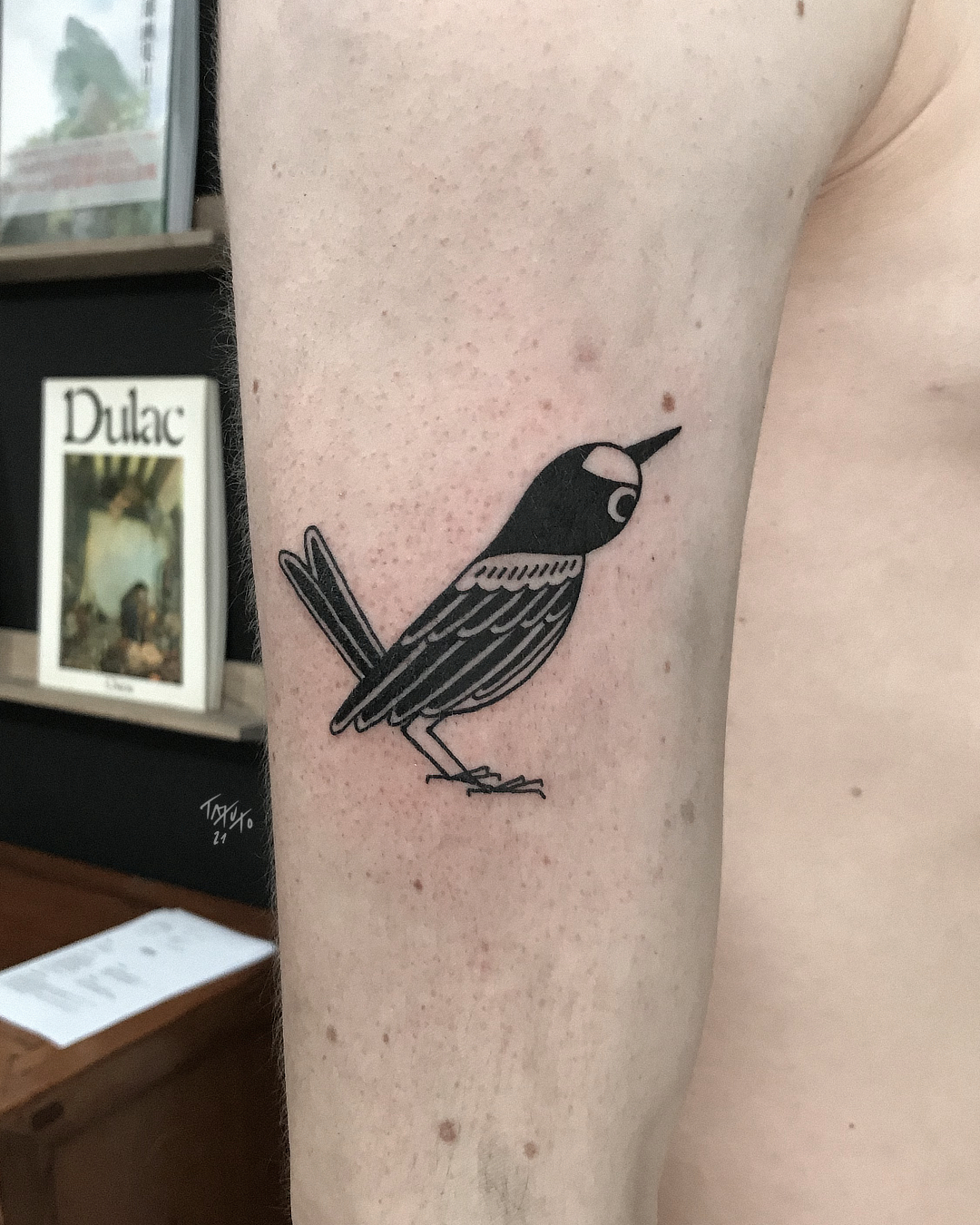 nico-tatuto-bird-oiseau-tatoueur-bordeaux-blackwork-old-school-traditional-tatouage