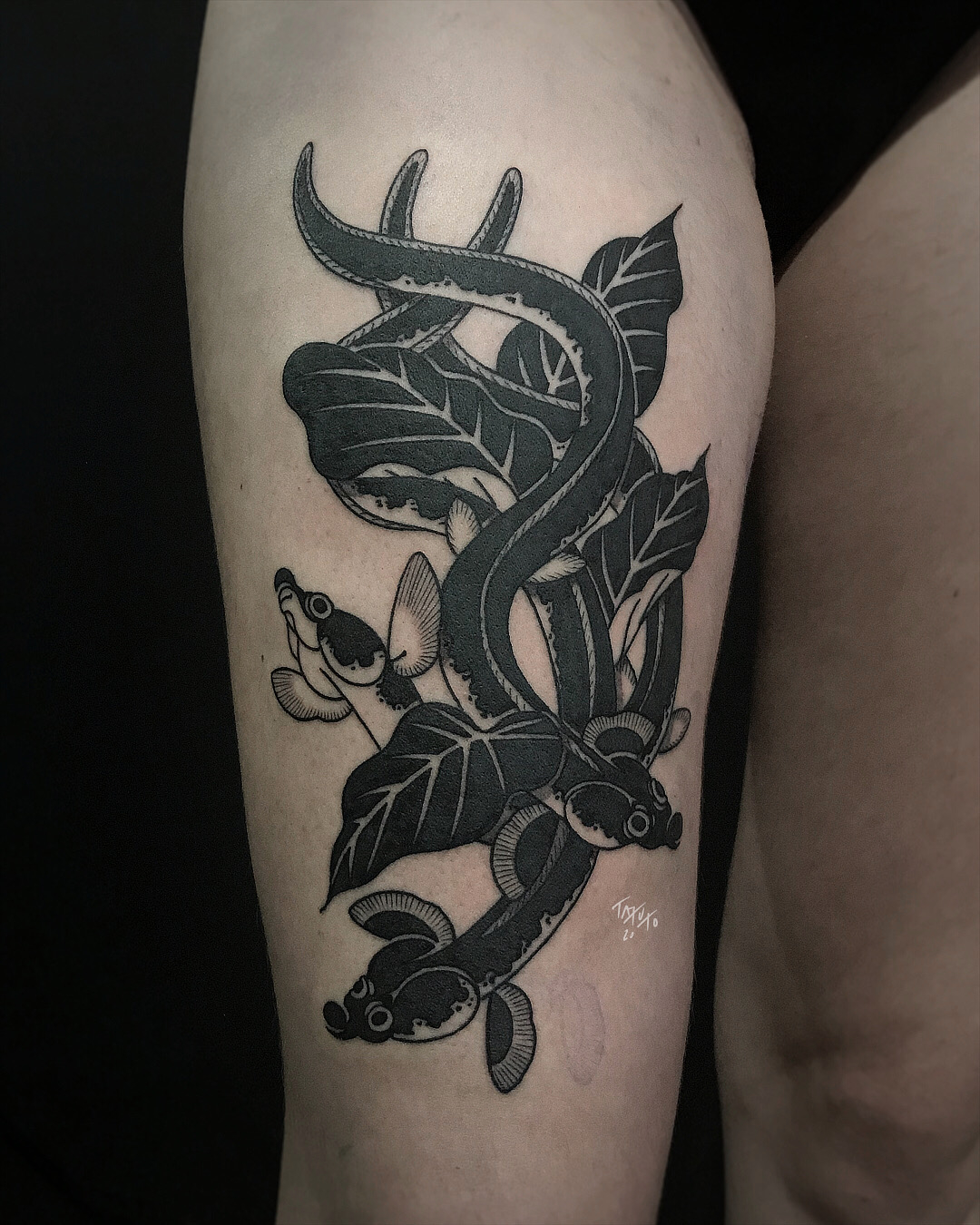 tatuto-tatoueur-bordeaux-japonais-eel-unagi-tattoo-anguilla-japonica