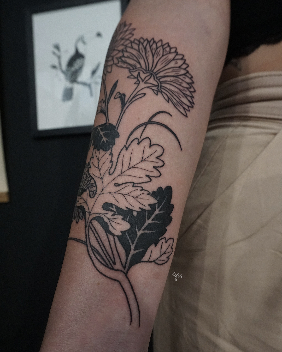 nico-tatuto-botanical-tattoo-floral-tatoueur-bordeaux-bastide-flash-tatouage-blackwork-chrysantheme-2