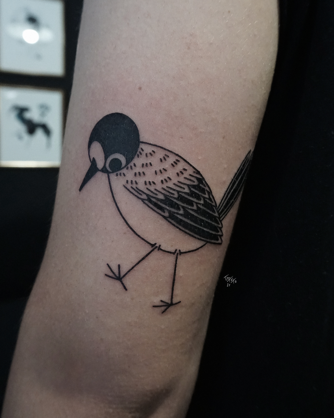 nico-tatuto-tatoueur-bordeaux-oiseau-bird-flash-blackwork