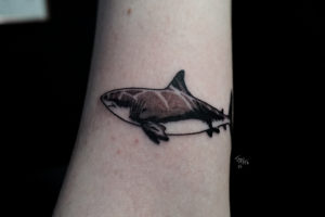 nico-tatuto-requin-shark-tatoueur-bordeaux-flash-tattoo-salon-shop