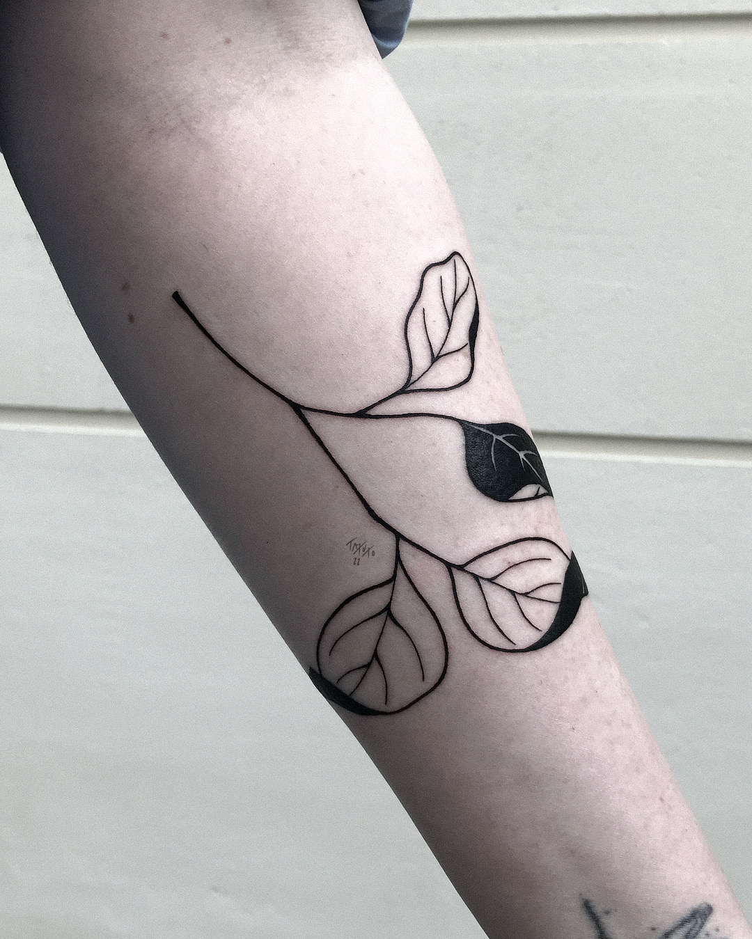 nico-tatuto-tattoo-bordeaux-flash-bastide-tatoueur-feuille-branche-vegetal-japonais-japanese-black-fineline-floral-botanical-meilleur