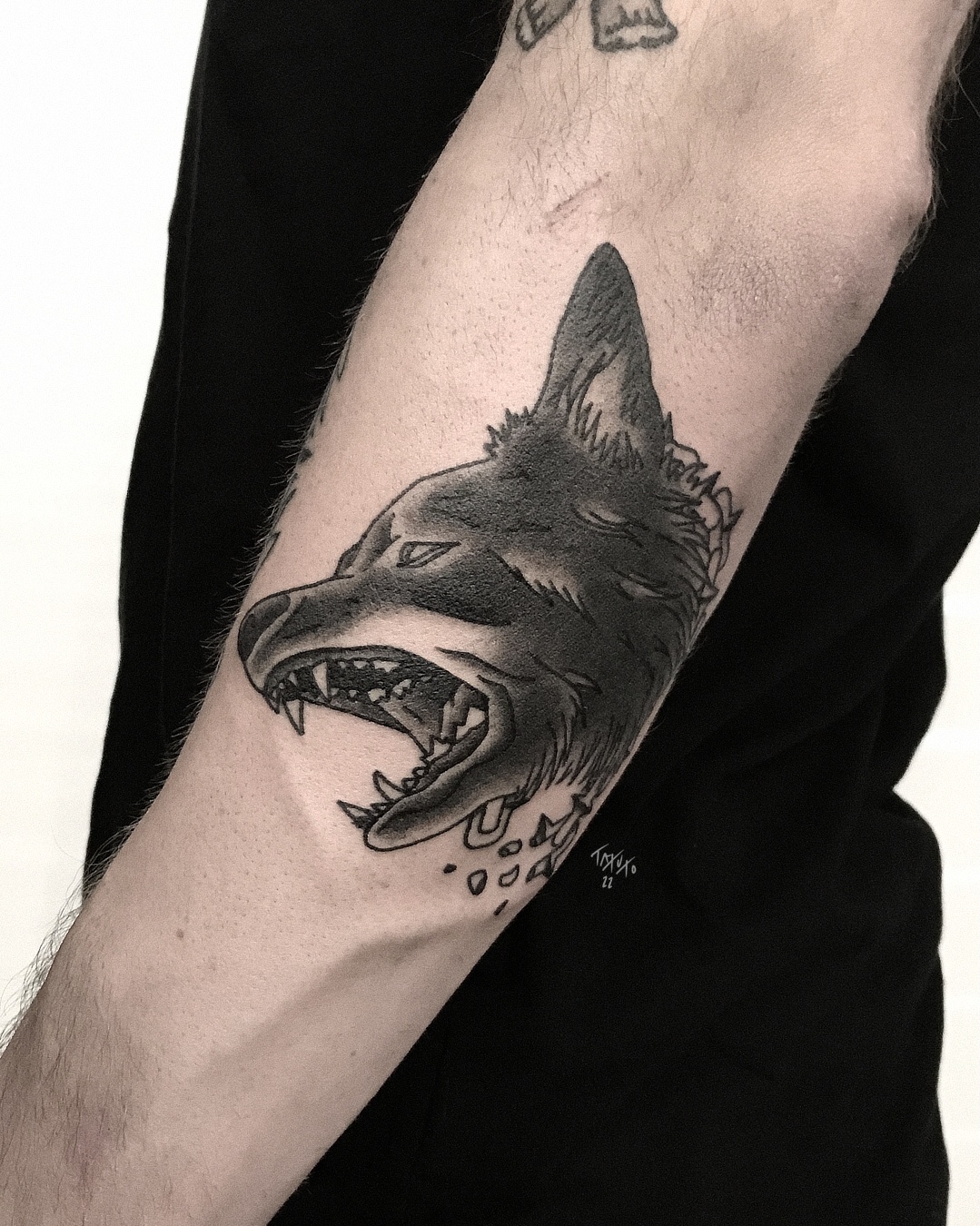 nico-tatuto-tatouage-chien-dog-placard-tattoo-shop-bordeaux-1
