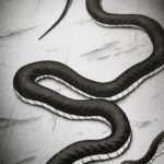 nico-tatuto-trillaud-tatoueur-bordeaux-tattoo-encre-de-chine-illustration-original-aerographe-airbrush-ukiyoe-art-serpent-snake-detail (1)