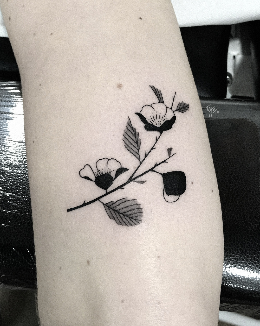nico-tatuto-trillaud-tatouage-fleur-tattoo-flower-blackwork-ukiyoe-bordeaux-tatoueur-botanical-noir-et-gris-4