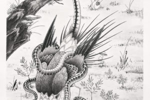nico-tatuto-tatoueur-bordeaux-japonais-estampe-ukiyoe-illustration-snake-serpent-bird-faisan-landscape-painting-india-ink-encre-de-chine-airbrush-sumie-aerographe-2