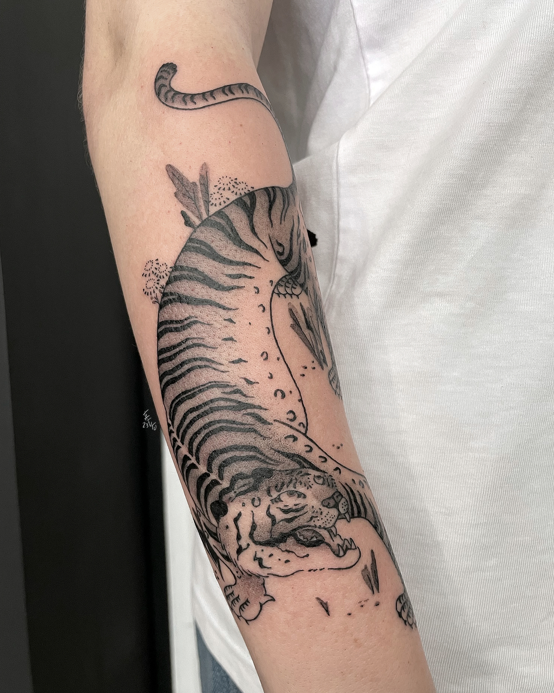 nico-tatuto-trillaud-tiger-tigre-traditionnel-tattoo-tatouage-tatoueur-bordeaux-japonais-japanese-oriental-korean-gironde-france-best-traditional-fineline-ukiyo-e-art-estampe-4