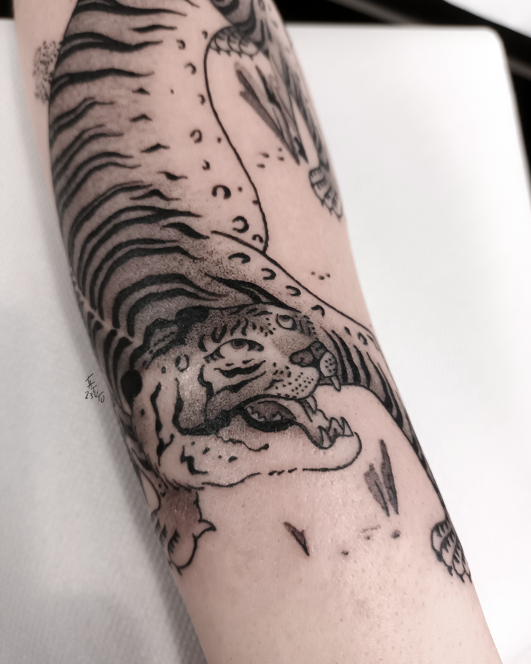 nico-tatuto-trillaud-tiger-tigre-traditionnel-tattoo-tatouage-tatoueur-bordeaux-japonais-japanese-oriental-korean-gironde-france-best-traditional-fineline-ukiyo-e-art-estampe-details