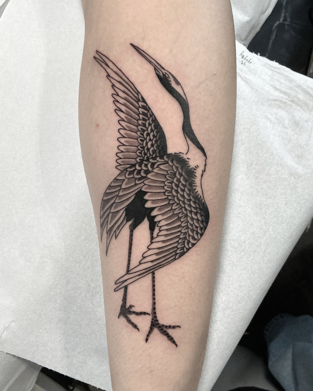 nico-tatuto-grue-japonais-ukiyoe-tatoueur-tatouage-tattoo-talence-bordeaux-blackwork-4