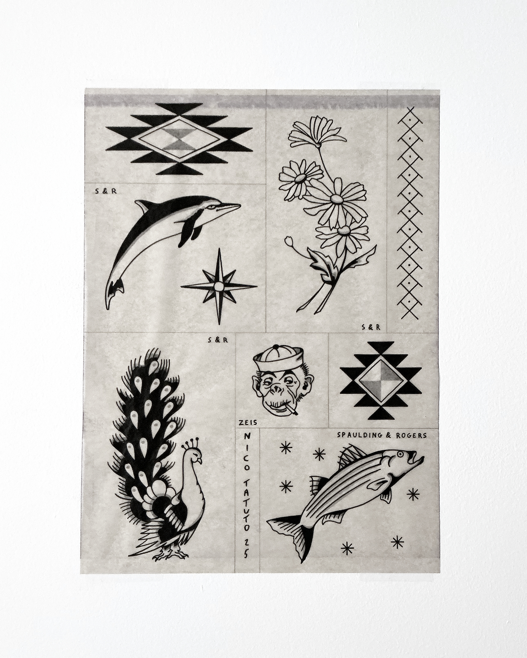 nico-tatuto-tatoueur-bordeaux-talence-tattoo-flash-dauphin-spaulding-rogers-zeis-paon-motif-pattern-polynesien-scolopendre-tatouage-2025