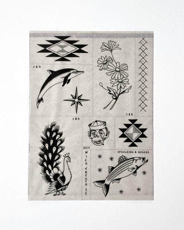 nico-tatuto-tatoueur-bordeaux-talence-tattoo-flash-dauphin-spaulding-rogers-zeis-paon-motif-pattern-polynesien-scolopendre-tatouage-2025